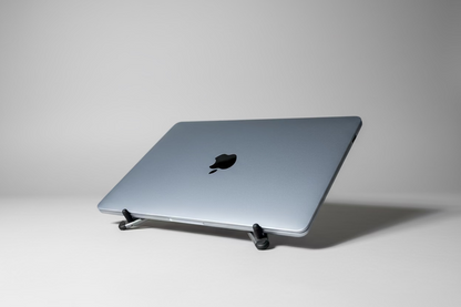 Laptop on a wooden stand with a plant in the background